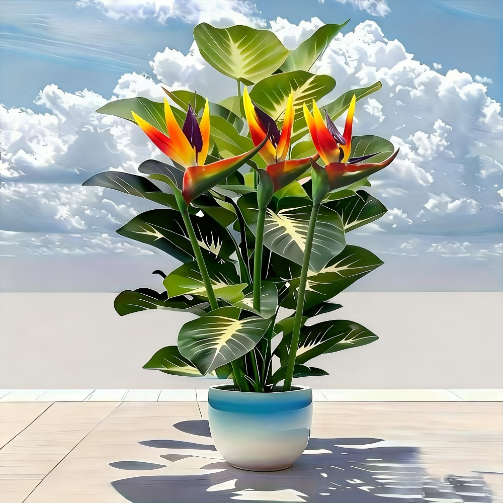 Artificial Bird of Paradise an - đánh giá và giá Fiddle Leaf Fig