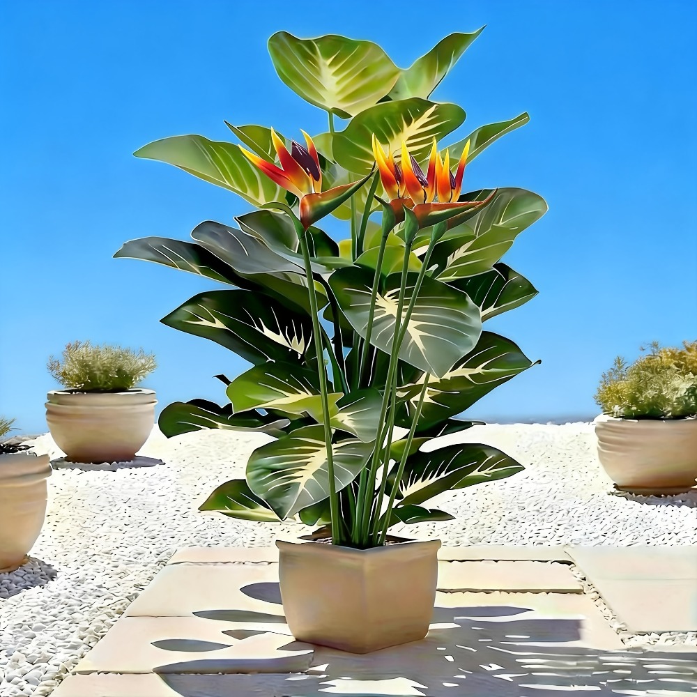 Artificial Bird of Paradise an - đánh giá và giá Fiddle Leaf Fig