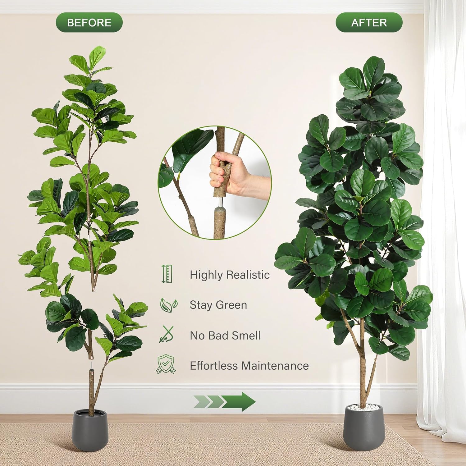 4FT/5FT/6FT/7FT Fiddle Leaf Fi - đánh giá và giá Fiddle Leaf Fig